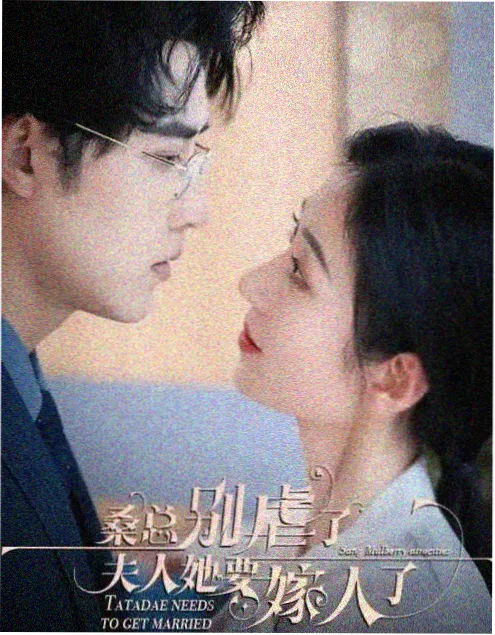 完结悬疑推理小说雾港旧账配图